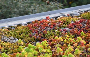 the cost of Upper Kinsham green roof installation