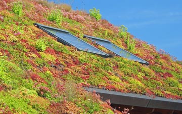 Upper Kinsham living roof systems